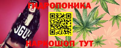 spice Славгород