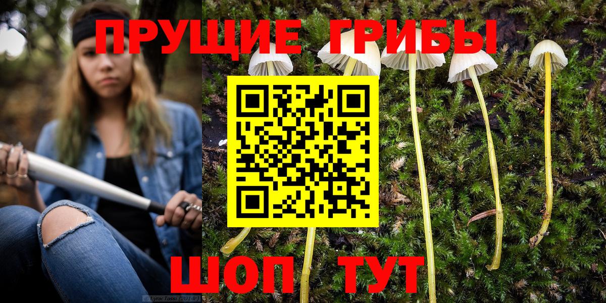 Псилоцибиновые грибы Magic Shrooms  купить закладку  Орехово-Зуево  Псилоцибиновые грибы Magic Shrooms  Вход с VPN 
